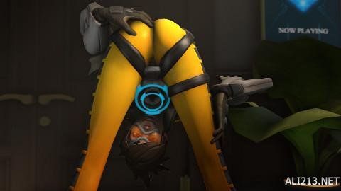 团队合作 团队合作